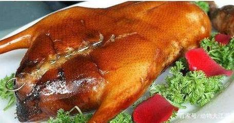 咳嗽能吃鸭肉么