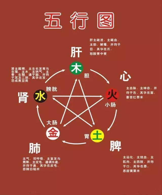 人五行