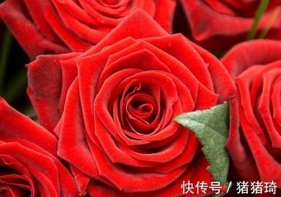 属虎和属羊的合不合财