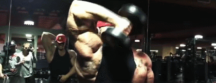 麒麟什么时候打