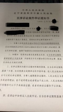 举证期限