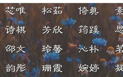 佟姓起名