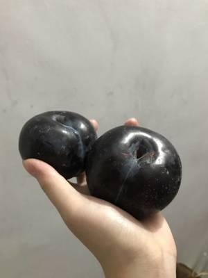 孕妇可以吃黑布林