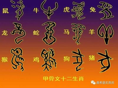 十二生肖对联大全