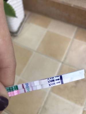 怀孕半个月验孕棒能测出来吗