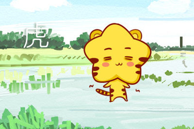 走打一生肖