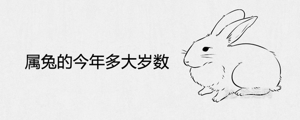 87年属兔今年多大