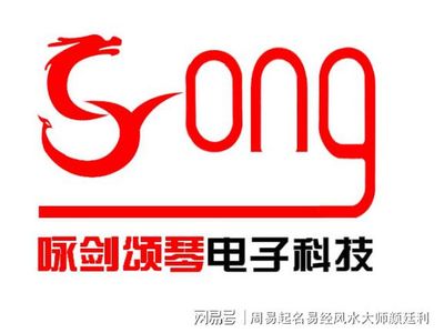 电子科技有限公司起名