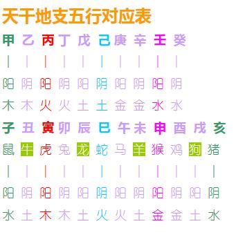 阳字五行属什么的