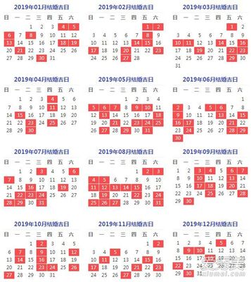2019年的是什么命