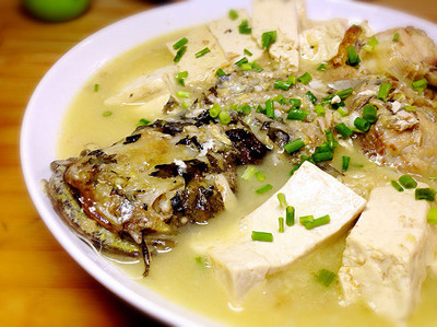 鲶鱼炖豆腐做法大全家常