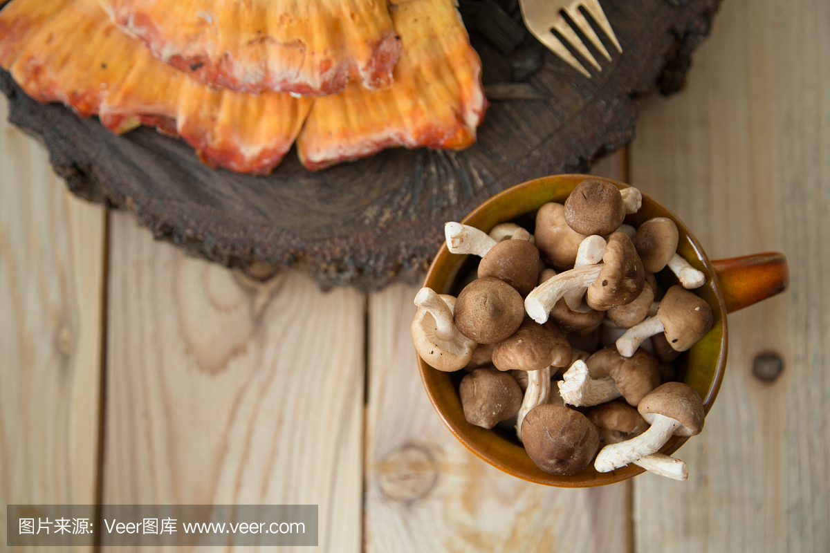 香菇的做法蘑菇做法