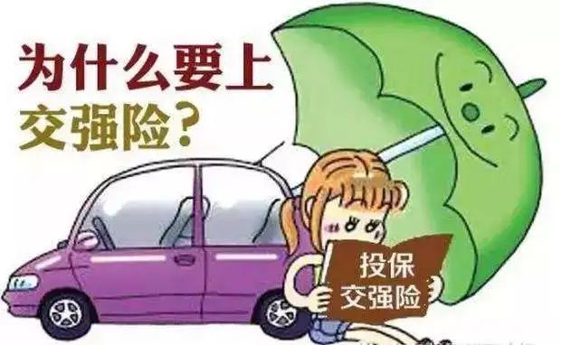 交强险案例