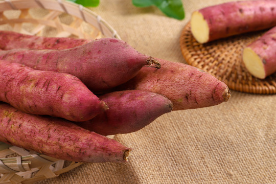 红薯和地瓜是一样东西吗