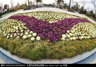 园林花坛设计图