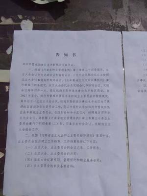 小区更换物业公司流程