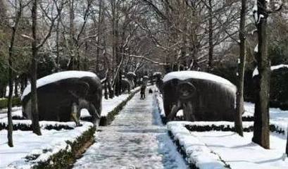 南京下雪了