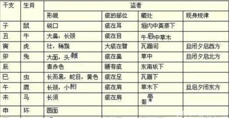排第八位是什么生肖