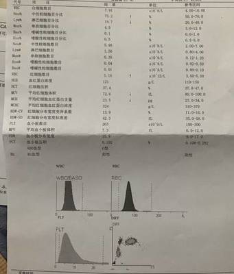 孕妇红细胞计数偏低