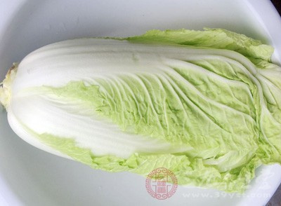 大白菜孕妇可以吃吗