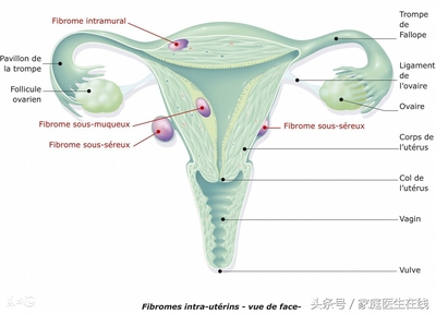 打胎后还能怀孕吗