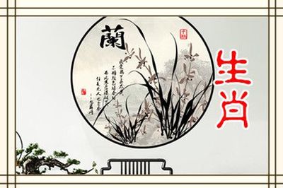 属鼠和属鸡的合不合