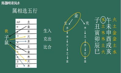 七的五行