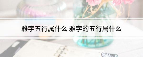 雅五行属什么的