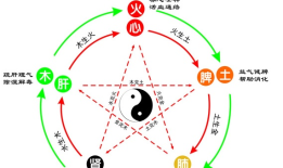 士字五行属什么