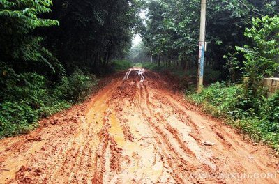 周公解梦梦见泥泞的路