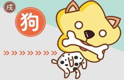 2006年五行属什么命