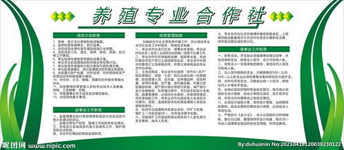 合作社起名