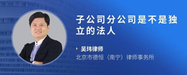子公司是独立法人吗