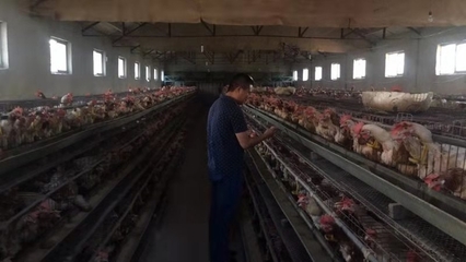 强力霉素可以治疗痘痘吗