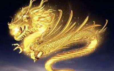 生肖龙起名宜忌