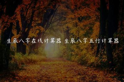 生辰八字五行计算器