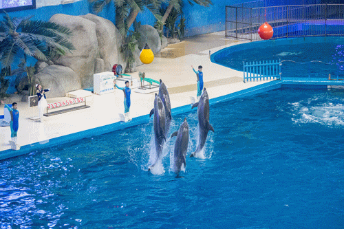 山东泉城海洋极地世界