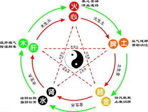 78年的马五行缺什么