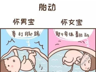 孕妇可以吃鸡精吗