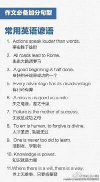 disadvantage的用法和短语