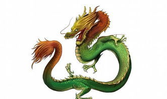 生肖属龙的今年多少岁