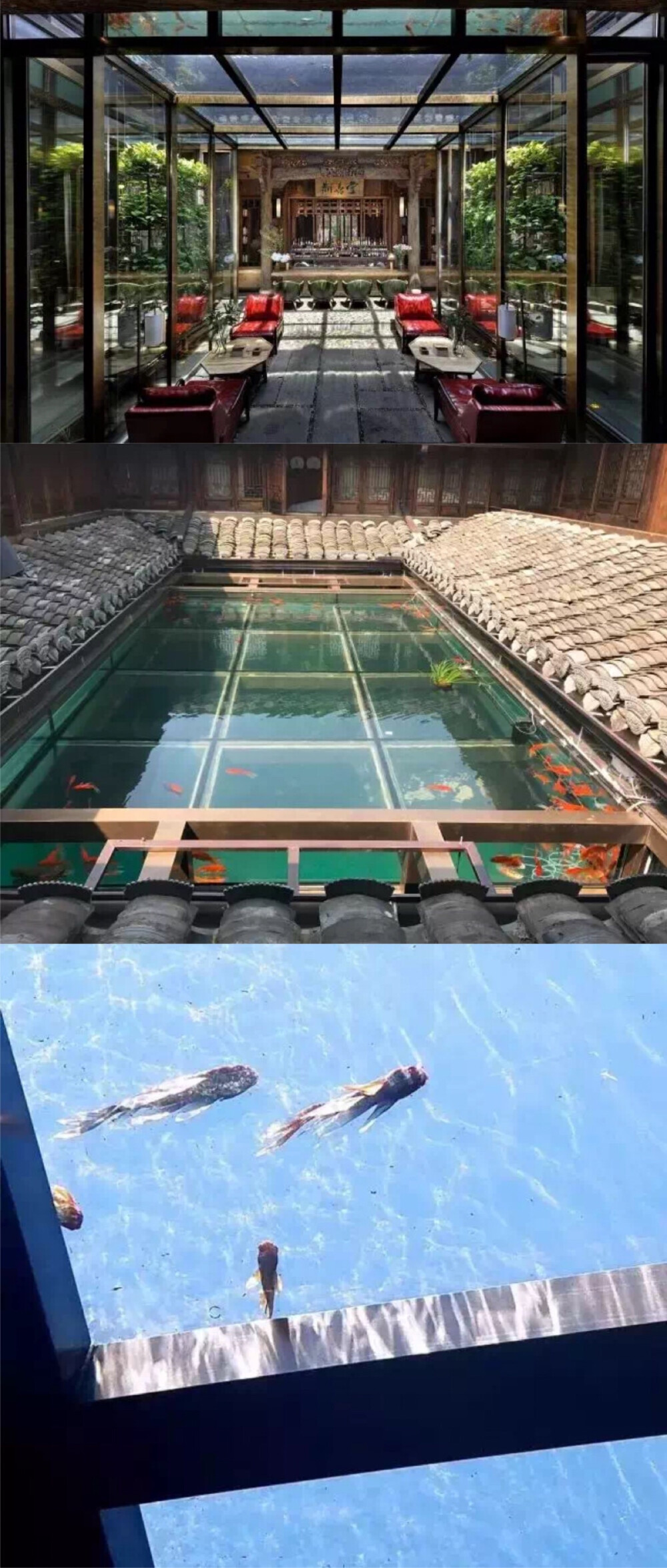 屋顶鱼池设计实景图