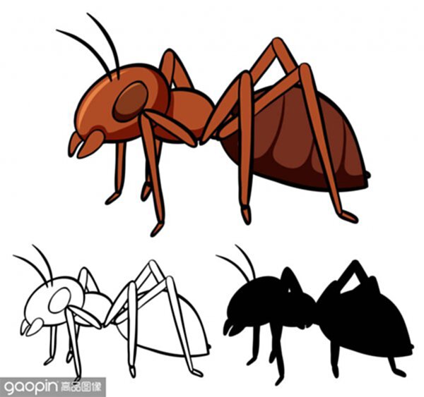 蟋蟀简笔画_蟋蟀简笔画素材_蟋蟀简笔画模板_图查查