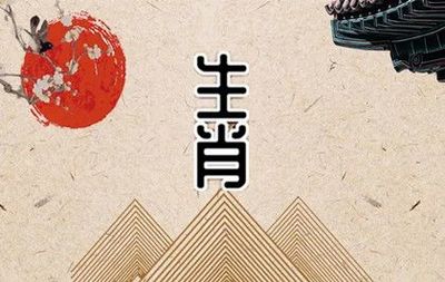 2004年属什么生肖五行