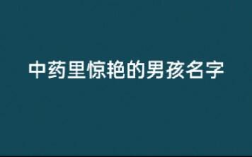 男生用的名字