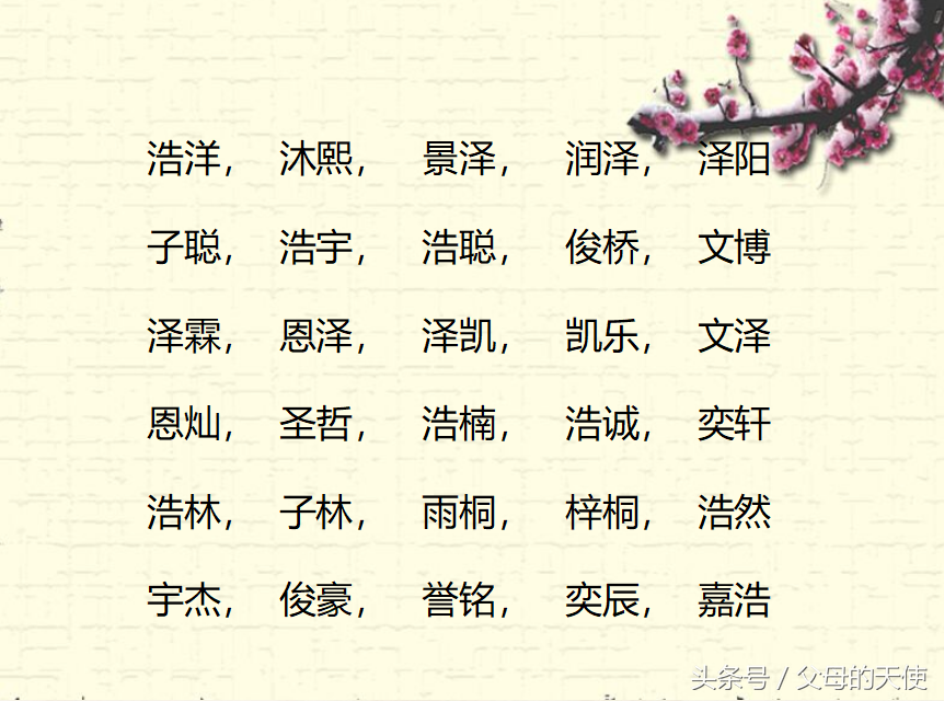 文雅的男孩名字