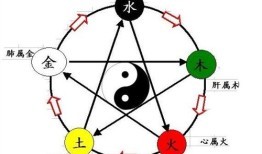 彤的五行