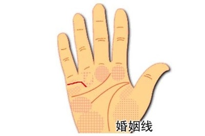 女人看婚姻线看哪只手