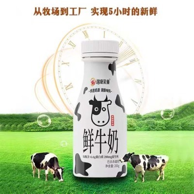 普洱牛奶