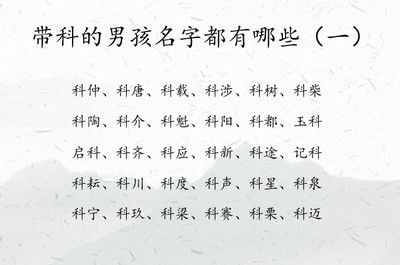 女生的名字有哪些